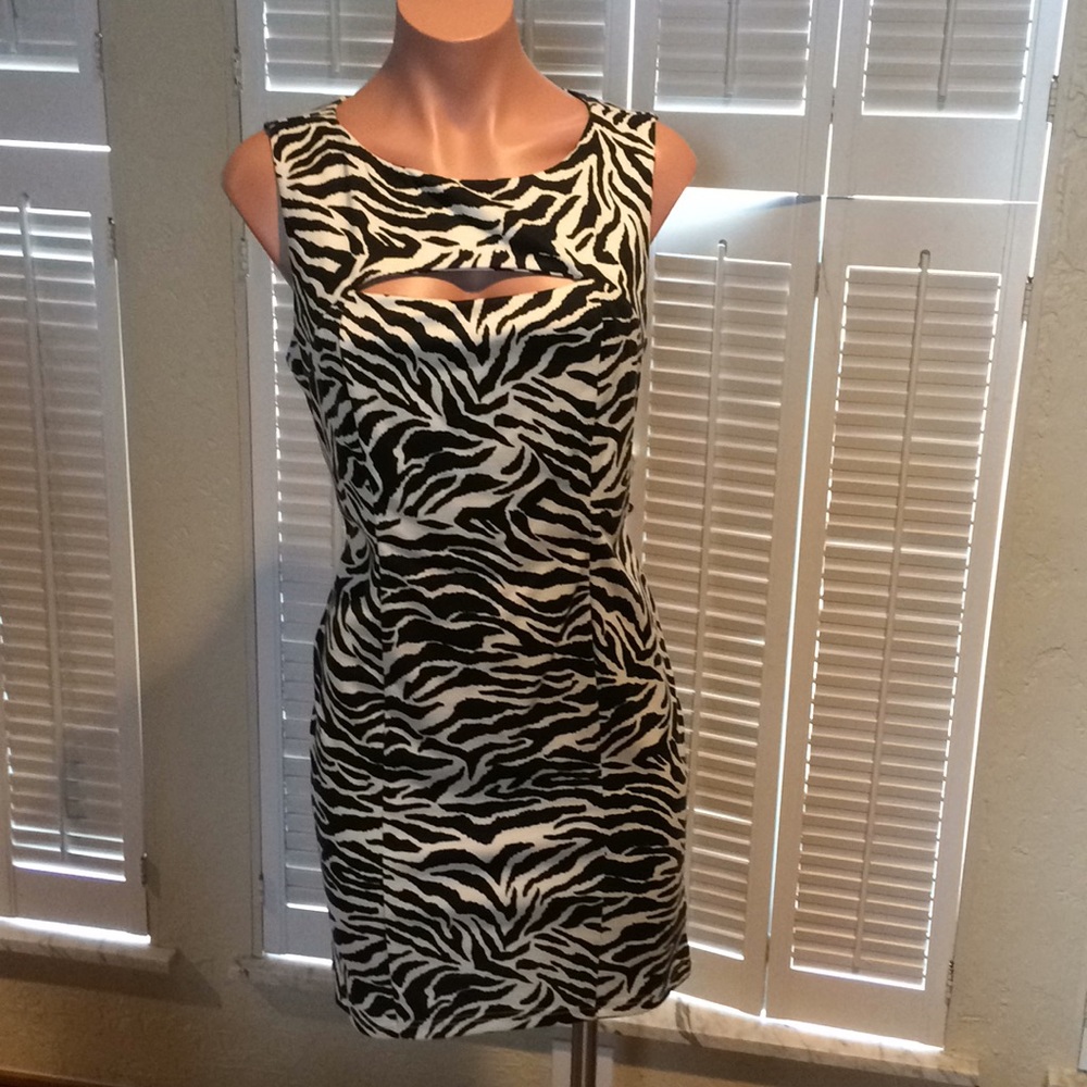 Forever 21 zebra print dress